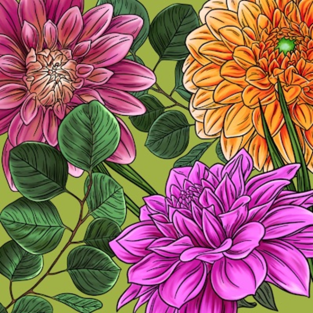 Meet your Posher, Nina